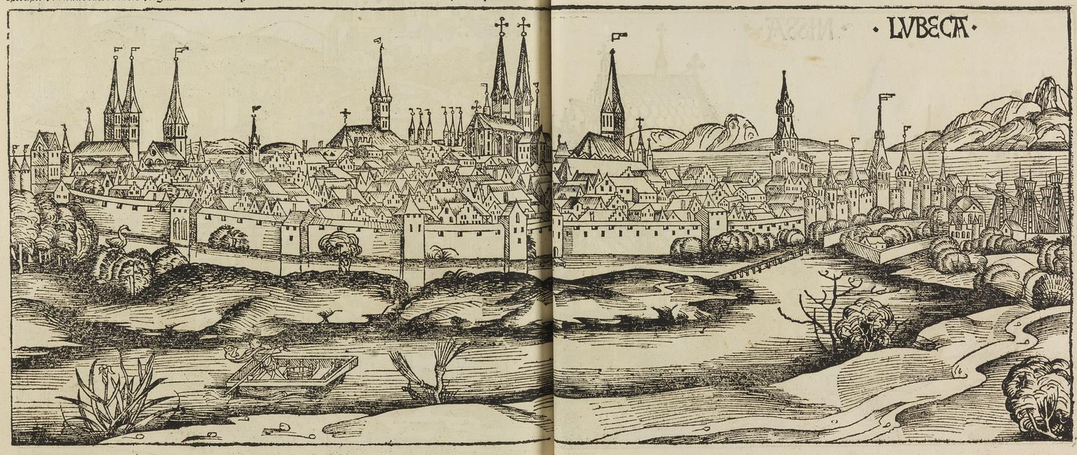 Offenes Buch mit einer detaillierten Illustration aus dem 16. Jahrhundert von Lviv, Ukraine, das Gebäude, Bäume, Pflanzen, Wasser und Text zeigt.