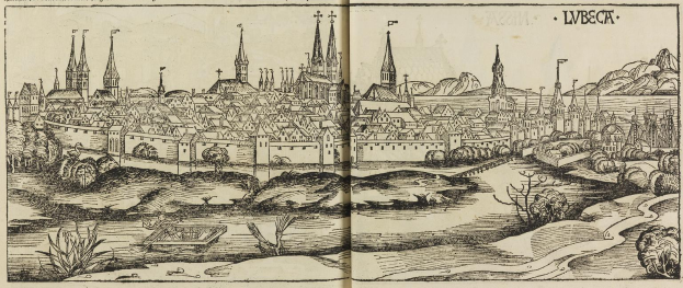 Offenes Buch mit einer detaillierten Illustration aus dem 16. Jahrhundert von Lviv, Ukraine, das Gebäude, Bäume, Pflanzen, Wasser und Text zeigt.