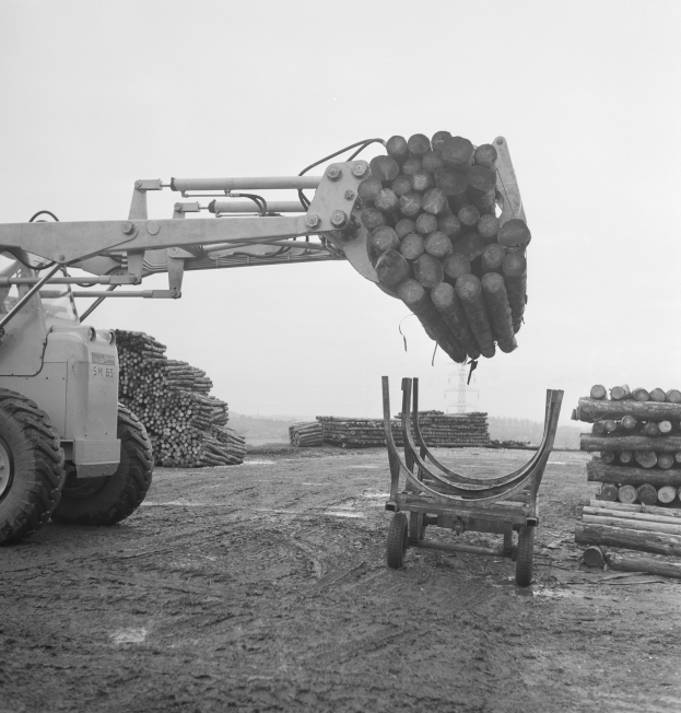 Ein Schwarz-Weiß-Foto eines Staplers, der eine Ladung Holz auf einen Lastwagen hebt, mit Bäumen und einem klaren Himmel im Hintergrund.