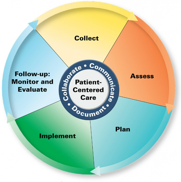 Ein Kreisdiagramm mit der Bezeichnung 'patientenorientierte Versorgung' und vier farbigen Abschnitten, jeweils mit einer spezifischen Pflegeart beschriftet.