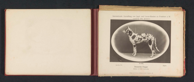 Ein aufgeschlagenes Buch mit dem Titel "Internationale Ausstellung von Jagd- und Luxus-Hunden in Frankfurt a.M." mit einem Schwarz-Weiß-Foto eines Hundes und begleitendem Text.