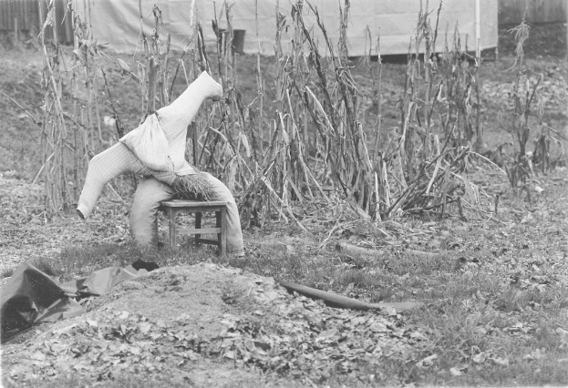 Ein gruseliges Spielzeug befindet sich auf der linken Seite eines Tisches, mit trockenen Pflanzen und einer Platte im Hintergrund und Gras, Boden und trockenen Blättern am unteren Ende des Bildes.