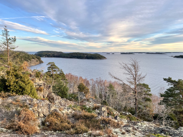 Ein malerischer Ausblick von einem Hügel auf einen See, mit Bäumen, Pflanzen und Felsen im Vordergrund und einem bewölkten Himmel im Hintergrund.