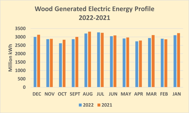 Liniengraph, der den Holz-generierten elektrischen Energieprofil von 2021 bis 2022 zeigt, mit begleitendem Erläuterungstext.