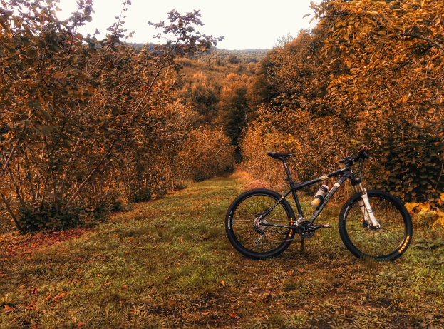A mountain bike parked in a grassy field surrounded by trees with autumn foliage, with the sky visible in the background.