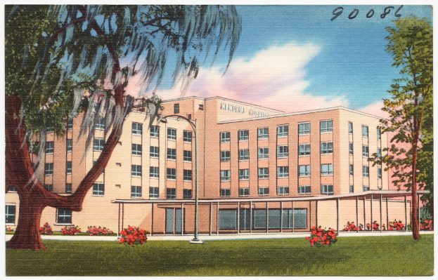 Eine animierte Abbildung eines institutionellen Gebäudes umgeben von Gras, Pflanzen, Bäumen und einem Himmel mit Wolken.