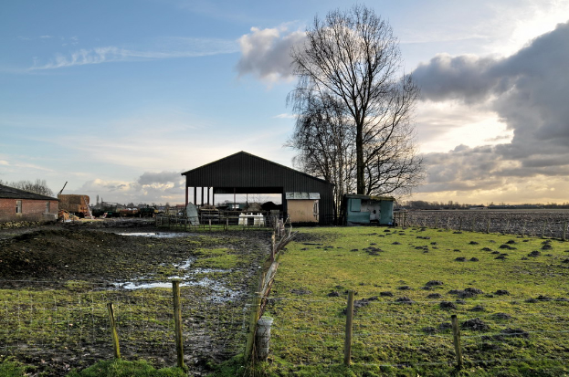 Eine grasbewachsene Landschaft mit einem Schuppen in der Mitte, Bäumen daneben und Häusern im Hintergrund, getrennt durch eine Begrenzung unten.