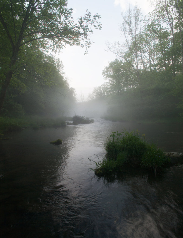 Wasser am Boden mit Grünzeug im Hintergrund.