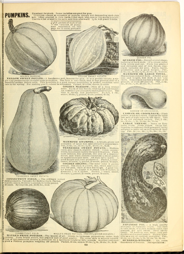 Ein aufgeschlagenes Buch, das verschiedene Kürbisse und Kürbisse in unterschiedlichen Größen und Formen zeigt, mit geschwungener Schrift, die von einem dekorativen Rahmen umgeben ist.