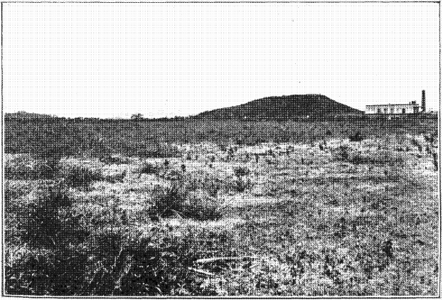 Schwarz-weiß-Foto eines Feldes mit einem Hügel im Hintergrund, einem Gebäude auf der rechten Seite und einem Himmel oben, mit Text unten, der "New York State Penitentiary" lautet.