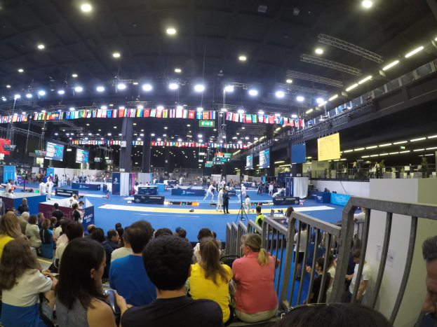 Eine große Menschenmenge, die vor einer Bühne sitzt und steht, mit einem Geländer auf der rechten Seite, Bildschirmen, Fahnen und Lichtern im Hintergrund, wahrscheinlich bei den 2018 Europäischen Meisterschaften.