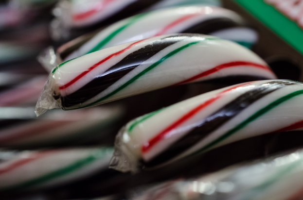 Verschiedene Pralinen sauber angeordnet und verpackt in einer Box.