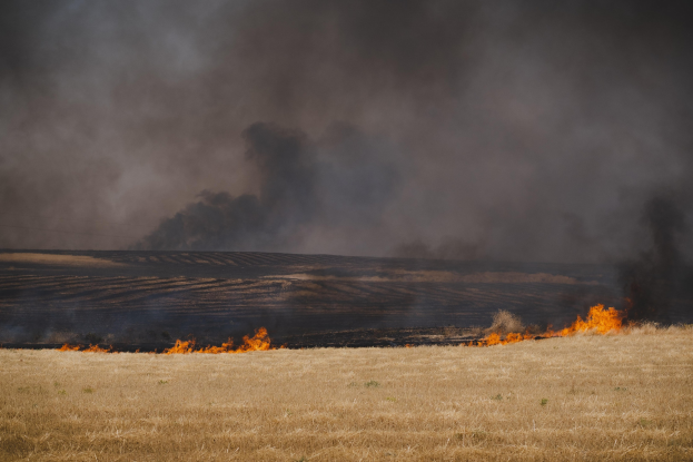 Ein Feld mit einem brennenden Feuer in der Mitte, umgeben von Gras und Rauch, der in den Himmel steigt.