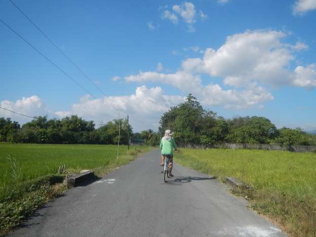Ein Radfahrer mit Helm fährt auf einer Straße mit Bäumen, Strommasten und einer Wand im Hintergrund unter einem bewölkten Himmel.