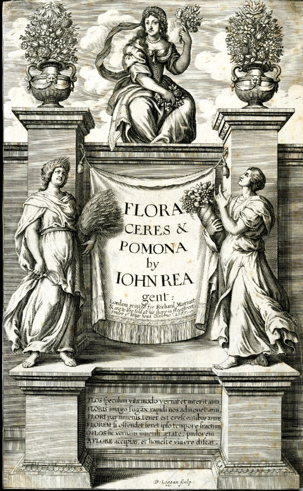 Eine Schwarz-Weiß-Radierung von drei Frauen vor einem Banner mit der Aufschrift "Flora, Ceres und Pomona von John Rea", umgeben von Blumentöpfen mit Pflanzen und Text unten.