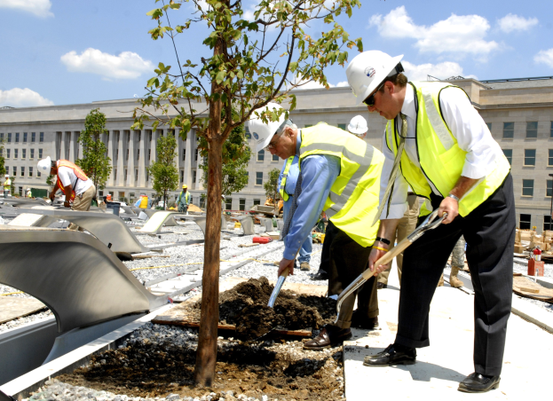Arbeiter mit Helmen und Sicherheitswesten schneiden oder entfernen einen Baum in der Nähe von Gebäuden, mit Erde, Steinen und anderen Gegenständen im Vordergrund.