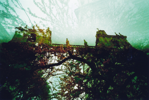 Baum in der Nähe einer historischen Konstruktion mit einer Brücke.