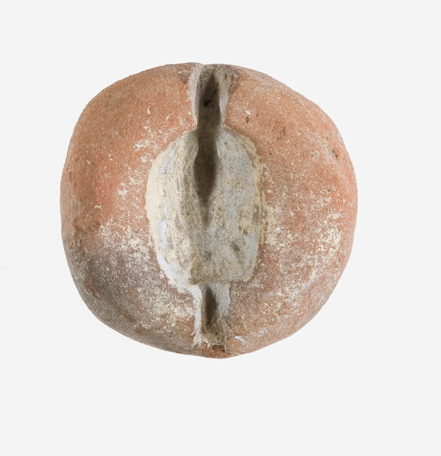 Ein hellbraunes Roggenbrot mit leicht rauer, knuspriger Kruste und weichem, fluffigem Inneren auf einem weißen Hintergrund.