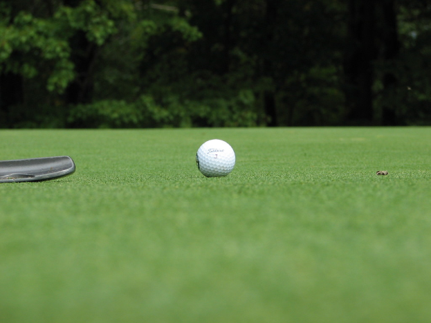 Ein Ball auf einer grünen Fläche mit Bäumen und Pflanzen im Hintergrund.