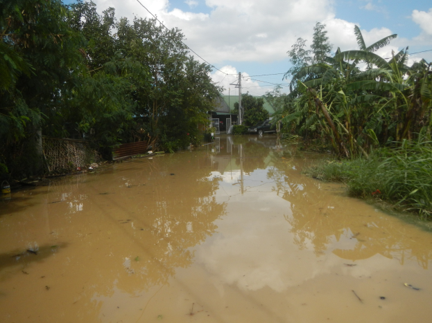 Eine überflutete Landstraße mit Wasser auf der Straße, umgeben von Pflanzen und Bäumen, einem geparkten Auto auf der rechten Seite und Häusern, Pfählen und Drähten im Hintergrund unter einem bewölkten Himmel.