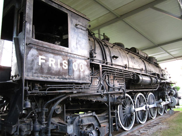 Ein Zug ist in der Mitte auf Schienen mit Gras darunter und einer Decke mit Pfählen darüber.