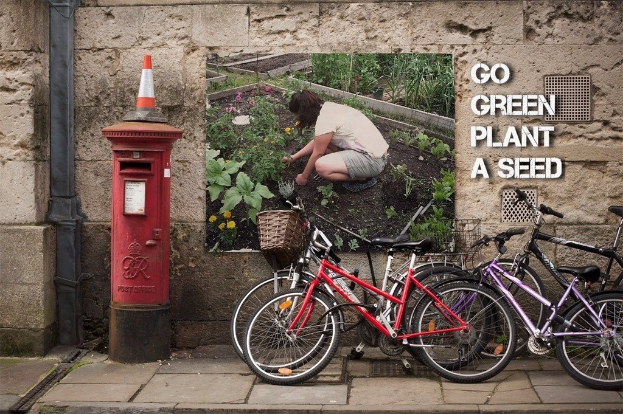 Fahrräder in einer Reihe neben einem Briefkasten mit einem Sicherheitstonne darauf, mit einem Plakat an einer Wand im Hintergrund und einem Weg am Boden.