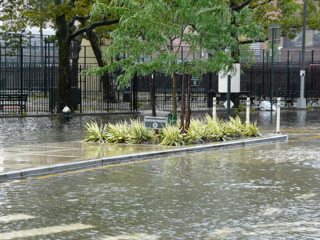 Eine überflutete Straße mit Pflanzen, Bäumen und einem Brett in der Mitte, umgeben von Wasser, mit einem Zaun, einem Gebäude und zusätzlichen Pflanzen im Hintergrund.