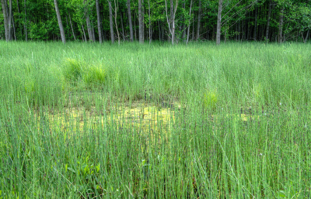 Ein landwirtschaftlicher Betrieb mit Bäumen im oberen Bildbereich.