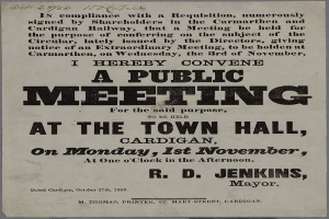 Einladung zu einer öffentlichen Versammlung im Rathaus von Cardigan am Montag, dem 1. November 1858, mit Textdetails zum Ereignis.